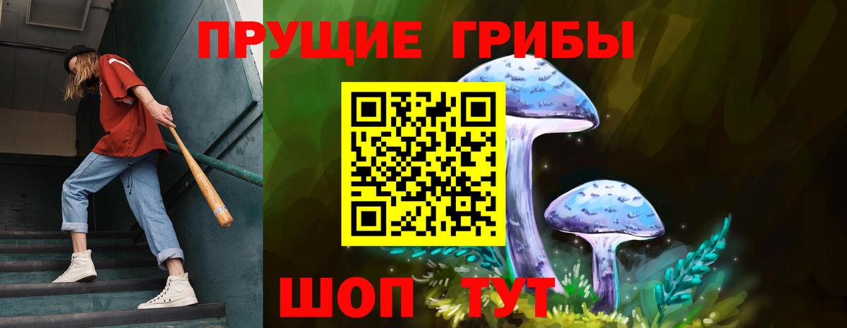 Волхов  Галлюциногенные грибы MAGIC MUSHROOMS  Вход с VPN 